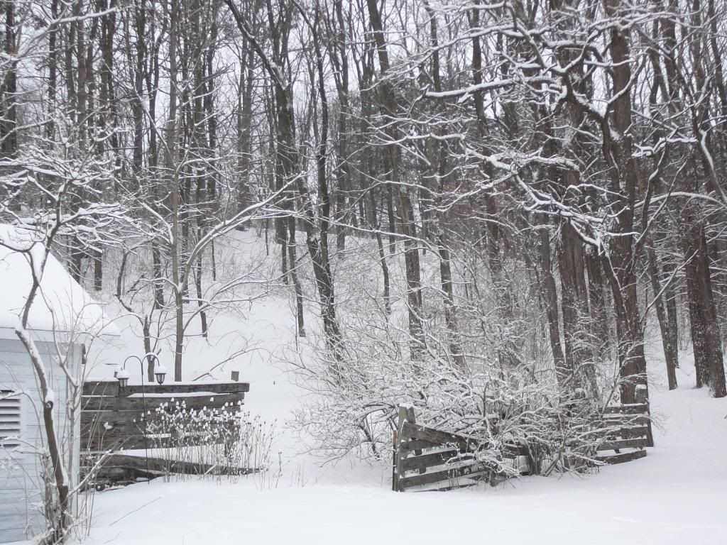 Broken Fence Photo by doodlefeather | Photobucket